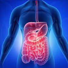 Gastroenterology